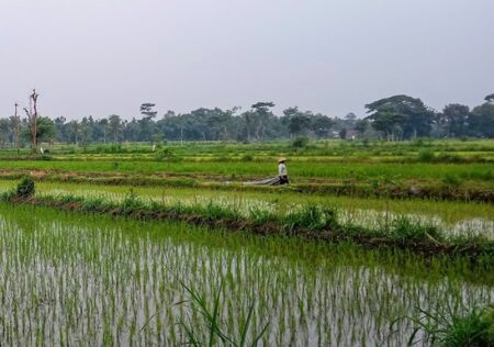KP3 Bondowoso Janji Tindaklanjuti Laporan Petani, Kios Pupuk Bersubsidi Nakal Jadi Atensi Foto BeritaJatim.com