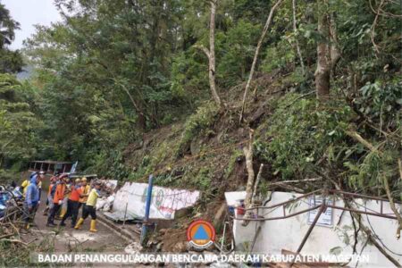 Pohon Tumbang di Sarangan Magetan Kembali Timpa Warung Sate, BPBD Ingatkan Wisatawan Foto BeritaJatim.com