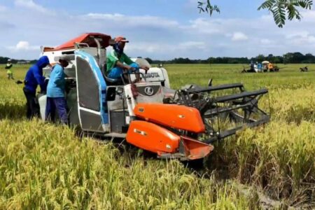 Bulog Bojonegoro Siap Beli Gabah Petani, Cek Harga Terbaru Foto BeritaJatim.com