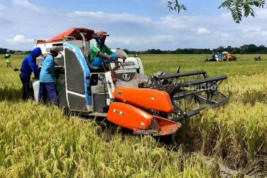 Bulog Bojonegoro Siap Beli Gabah Petani, Cek Harga Terbaru Foto BeritaJatim.com