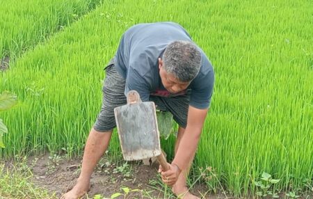 Perkumpulan Petani Pangan Indonesia Kecam Kementan Soal HPP Foto BeritaJatim.com