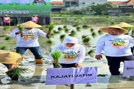 Foto BeritaJatim.com