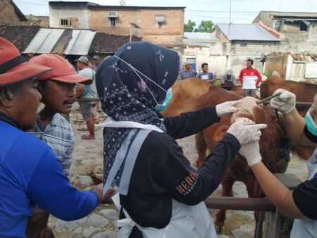 Kasus PMK Meningkat, Pemkab Kediri Tutup Pasar Hewan dan Intensifkan Pengobatan Foto BeritaJatim.com