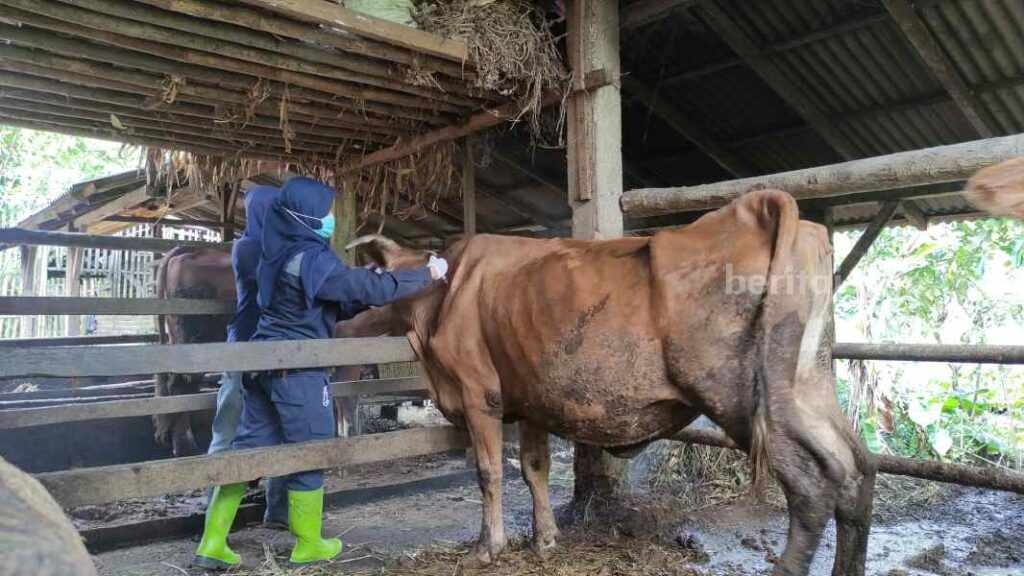 Foto BeritaJatim.com