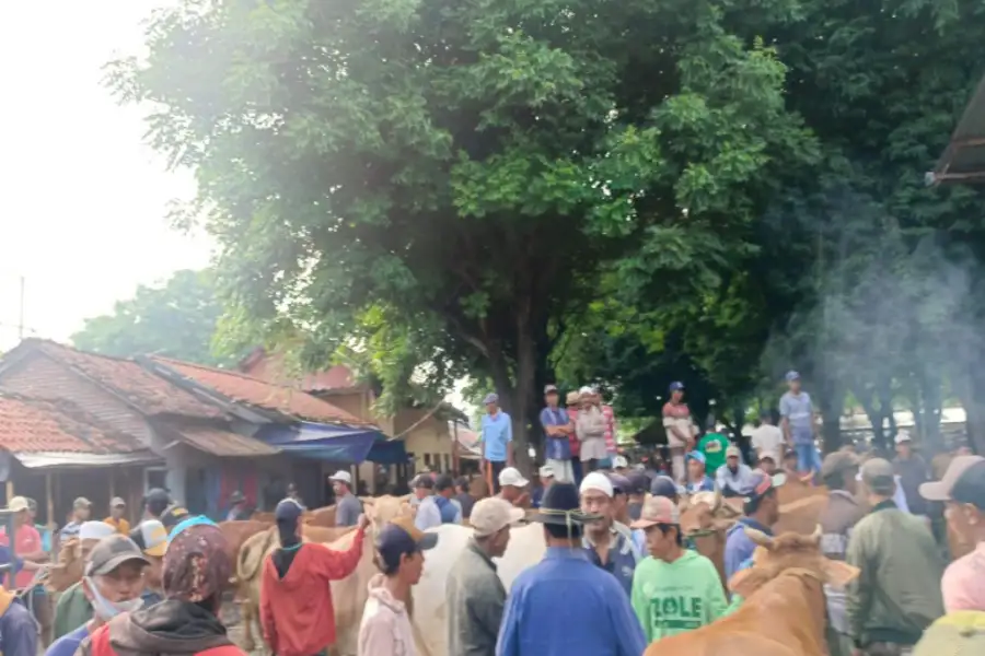 Foto BeritaJatim.com