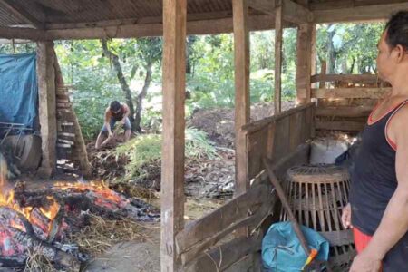 Wabah PMK di Ngawi, Sapi di Dusun Pencol Habis Total Foto BeritaJatim.com