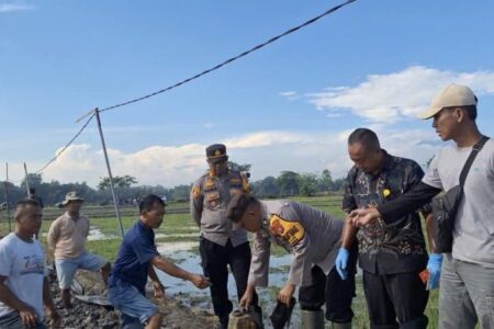 Pencari Belut di Ngawi Tewas Tersengat Listrik Jebakan Tikus Foto BeritaJatim.com