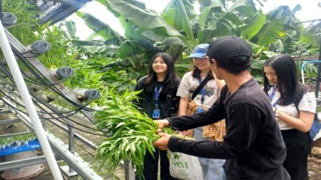 Mahasiswa Lintas Negara Eksplorasi Kemandirian Ekonomi di Rumah Padat Karya Gunung Anyar Surabaya Foto BeritaJatim.com