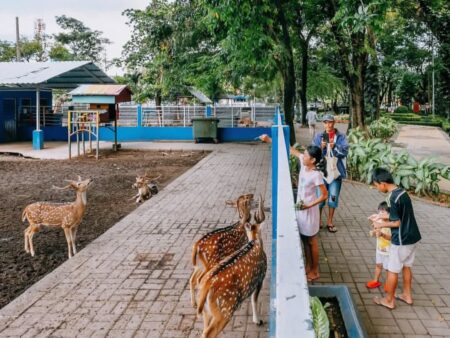 Ramah Anak! Dua Taman di Surabaya Raih Sertifikasi RBRA Tertinggi, Mana Saja? Foto BeritaJatim.com