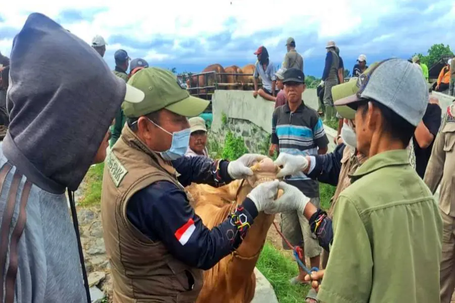 Foto BeritaJatim.com