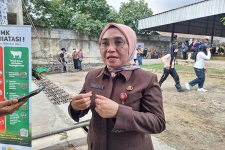 Kasus PMK Melonjak di Jatim: 30 Daerah Terdampak, Ribuan Hewan Terjangkit! Foto BeritaJatim.com