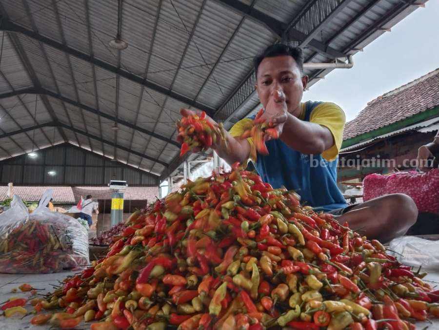 Harga Cabai di Tulungagung Terus Naik, Ini Penyebabnya Foto BeritaJatim.com