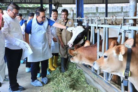 Pj Gubernur Jatim: 11.317 Ekor Sapi Terjangkit PMK, 70 Persen Penyembuhan Foto BeritaJatim.com