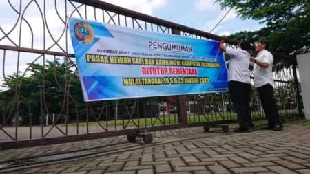 Pemkab Tulungagung Perpanjang Penutupan Pasar Sapi Foto BeritaJatim.com