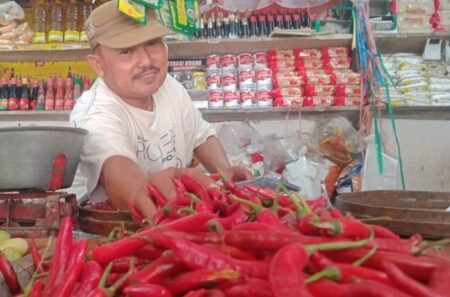 Makin Pedas, Harga Cabai di Jombang Tembus Rp100 Ribu Per Kilogram Foto BeritaJatim.com