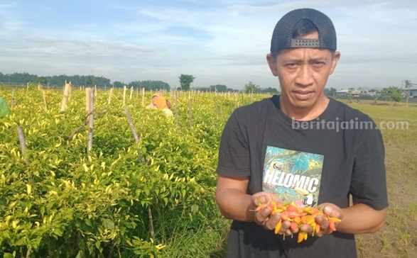 Foto BeritaJatim.com