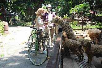 Rekomendasi Liburan Akhir Pekan, Berikut 5 Destinasi Wisata Ramah Anak di Yogyakarta Foto BeritaJatim.com