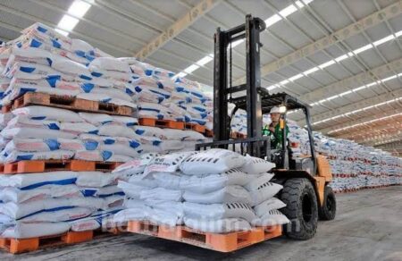 100 Hari Asta Cita, Petrokimia Gresik Salurkan 981.705 Ton Pupuk Bersubsidi Foto BeritaJatim.com