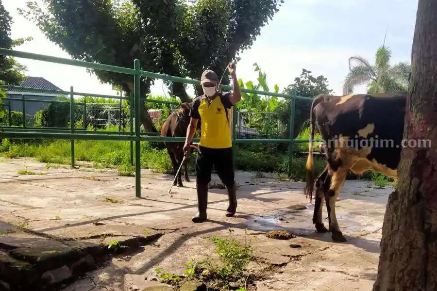 Foto BeritaJatim.com