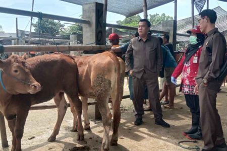Kasus PMK Tinggi, Pemkot Blitar Pastikan Pasar Hewan Dimoro Tetap Buka Foto BeritaJatim.com