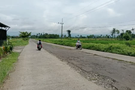 Pemkab Bondowoso Targetkan Tuntas Pembebasan Lahan Jalan Lingkar Pancoran-Kejawan Tahun Ini Foto BeritaJatim.com