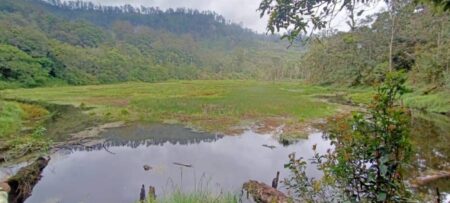Relawan Bencana Cemaskan Banjir Bandang dari Lereng Selatan Argopuro Hantam Jember Foto BeritaJatim.com