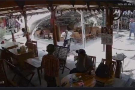 Pohon Jati Tumbang Timpa Kafe di Ngawi, Detik-detik Bangunan Roboh Terekam CCTV Foto BeritaJatim.com