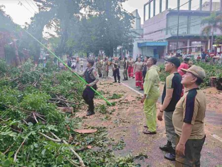 Tim Gabungan di Mojokerto Terjun Evakuasi Pohon Tumbang Foto BeritaJatim.com