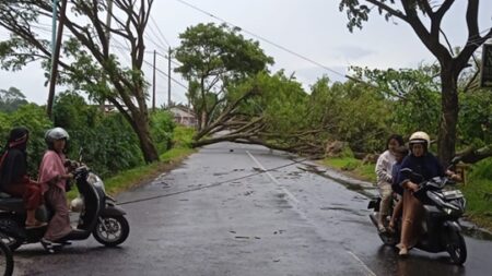 Ancaman Angin Kencang di Banyuwangi Berpotensi Berlanjut hingga 14 Februari 2025 Foto BeritaJatim.com