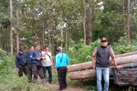 Polhut Madiun Gerebek Pembalak Liar di BKPH Brumbun, Pelaku Kabur Foto BeritaJatim.com