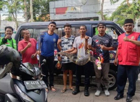 Tidak Hanya Api, Damkar Pamekasan Jinakkan Hewan Liar Foto BeritaJatim.com