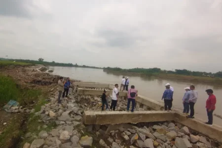 Penahan Tebing Bengawan Solo Rp40 M di Atas Tanah Warga Bojonegoro, Pemilik Lahan Tak Dapat Ganti Rugi Foto BeritaJatim.com