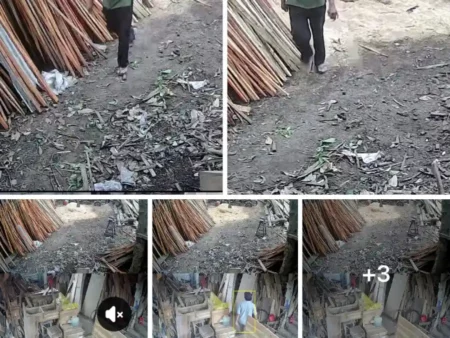Pencurian Mesin Gergaji dan Tabung Gas di Mojo Kediri Terekam CCTV, Warga Diminta Membantu Identifikasi Pelaku Foto BeritaJatim.com