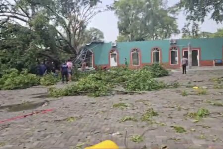 Angin Kencang Terjang Wilayah Timur Magetan, Puluhan Rumah Rusak dan Pohon Tumbang Foto BeritaJatim.com