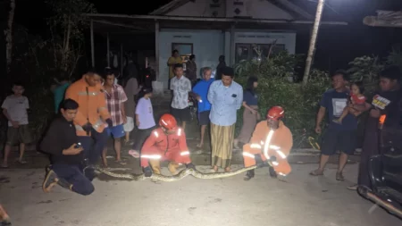 Damkar Pacitan Evakuasi Ular Piton 2 Malam Berturut-turut Foto BeritaJatim.com