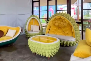 Agrowisata Durian Fantasi: Healing Murah Rp15 Ribu di Batu, Pecinta Durian Wajib Coba! Foto BeritaJatim.com