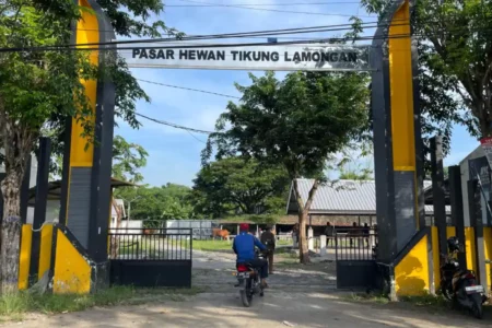 PMK Terkendali, Pasar Hewan di Lamongan Dibuka Kembali Foto BeritaJatim.com