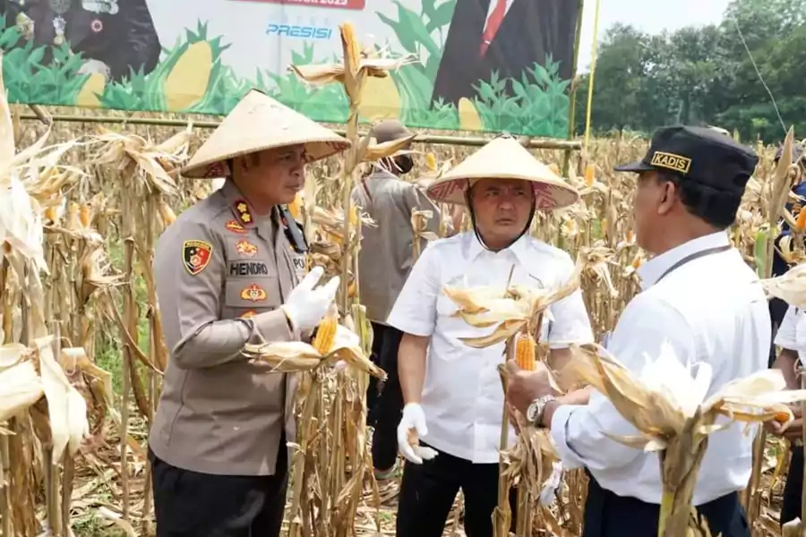 Foto BeritaJatim.com