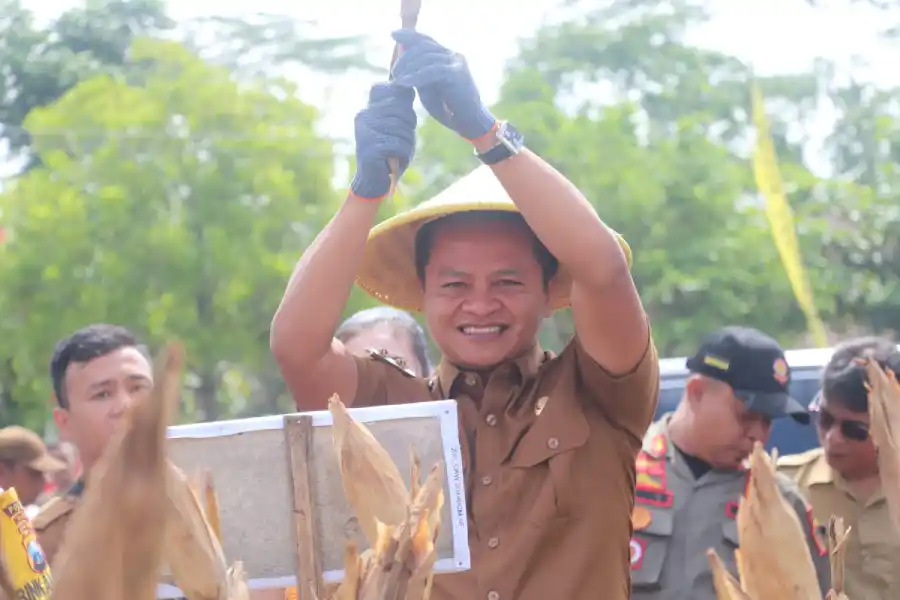 Hari Pertama Kerja, Wabup Blitar Langsung Panen Raya Jagung Foto BeritaJatim.com