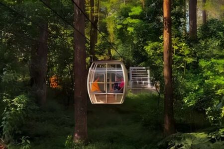 Lawu Green Forest: Wisata Keluarga yang Seru dan Instagramable di Magetan Foto BeritaJatim.com