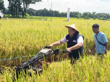 Dukung Ketahanan Pangan, STAPA Center dan Sampoerna Distribusikan 80 Mesin Pemanen Padi di Ponorogo Foto BeritaJatim.com
