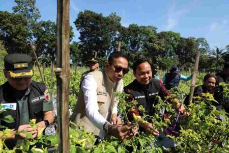 Wali Kota Malang Jamin Stok Cabai dan Telur Ayam Aman Foto BeritaJatim.com