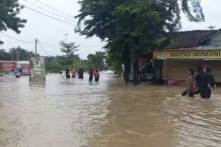 Banjir Luapan Bengawan Madiun Rendam Jalan dan Lahan Pertanian di Ngawi Foto BeritaJatim.com