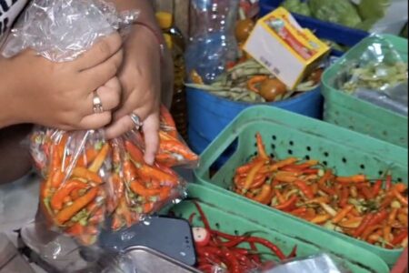 Stok Cabai di Ngawi Bergantung Pasokan dari Blitar dan Kediri Foto BeritaJatim.com