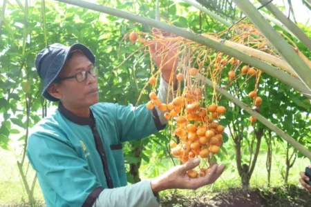 Foto BeritaJatim.com