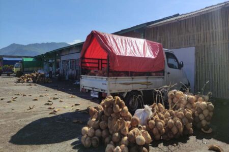 Sepi Transaksi, Aktivitas Pasar Kelapa Bangsri Pacitan Menurun Drastis, Inilah Sebabnya Foto BeritaJatim.com