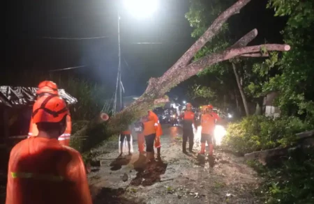 Dua Hari Terakhir Hujan Angin Landa Jember, Dua Rumah Warga Rusak Foto BeritaJatim.com