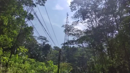 60 Titik Blank Spot di Pacitan, Pembangunan Tower Terkendala Biaya Foto BeritaJatim.com