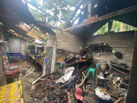 Pohon Pete Tumbang Timpa Rumah Warga di Pacitan, Satu Orang Terluka Foto BeritaJatim.com