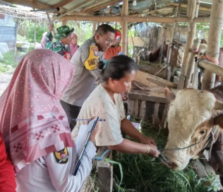 Kasus PMK di Kota Kediri Nihil, DKPP Gencarkan Vaksinasi dan Pemantauan Foto BeritaJatim.com
